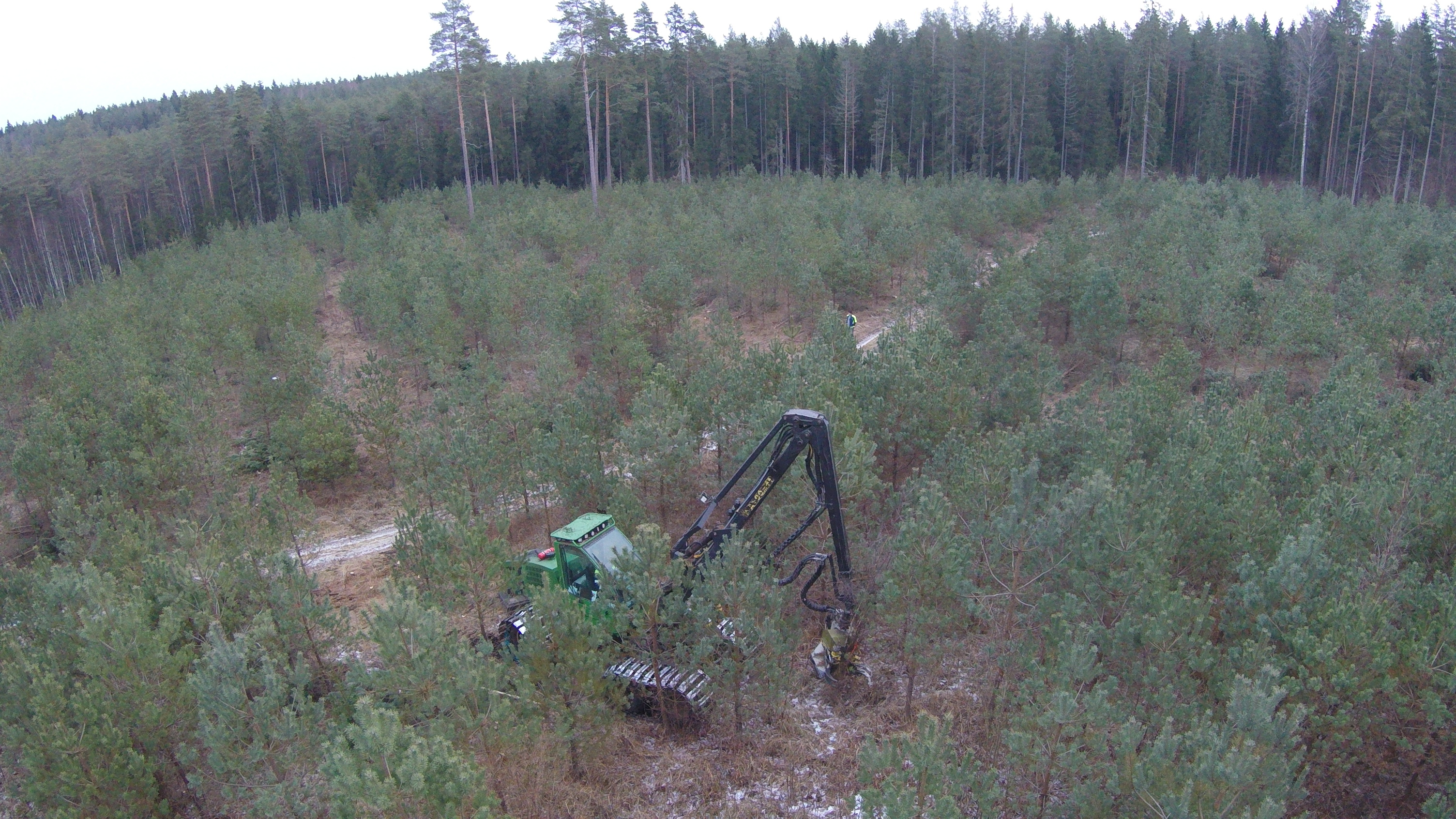 Training program for forest owners